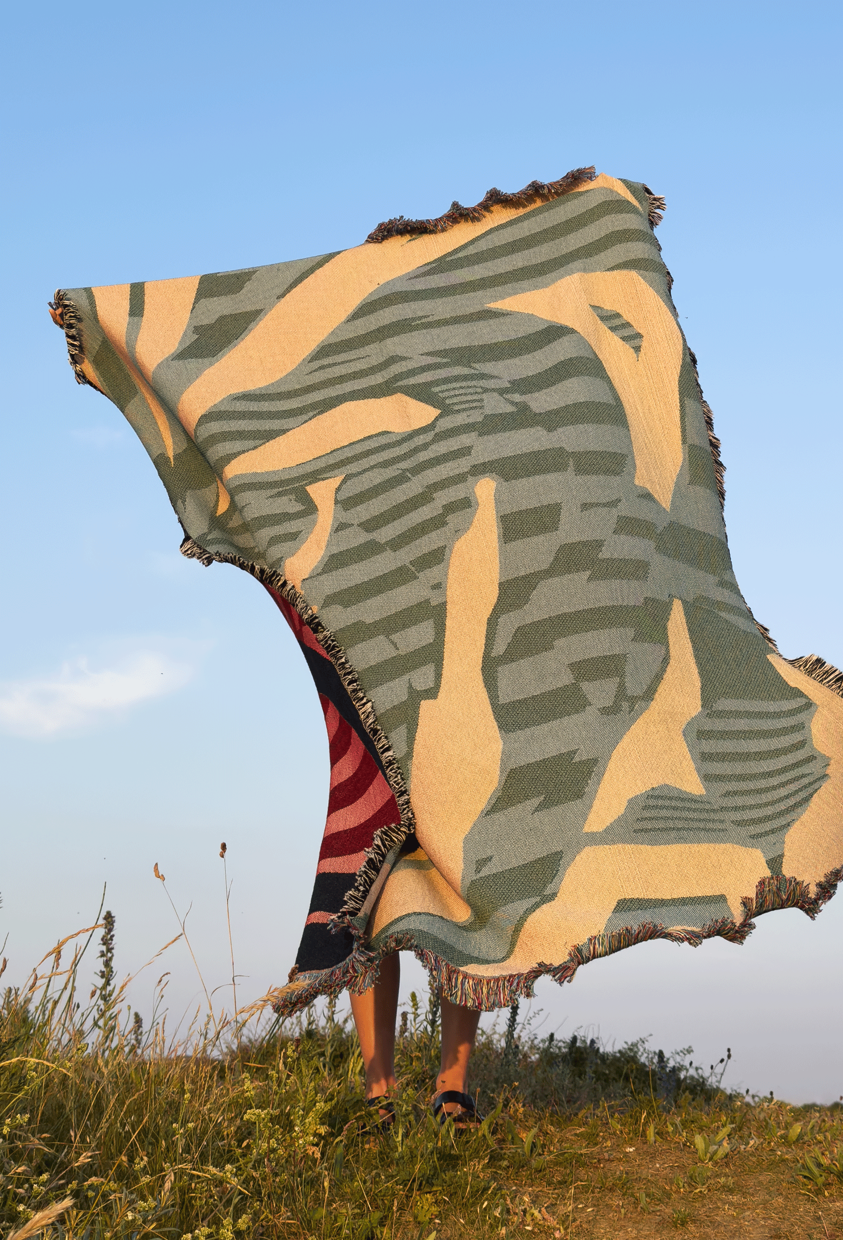 WFS_SLDB_Throw_lahaya