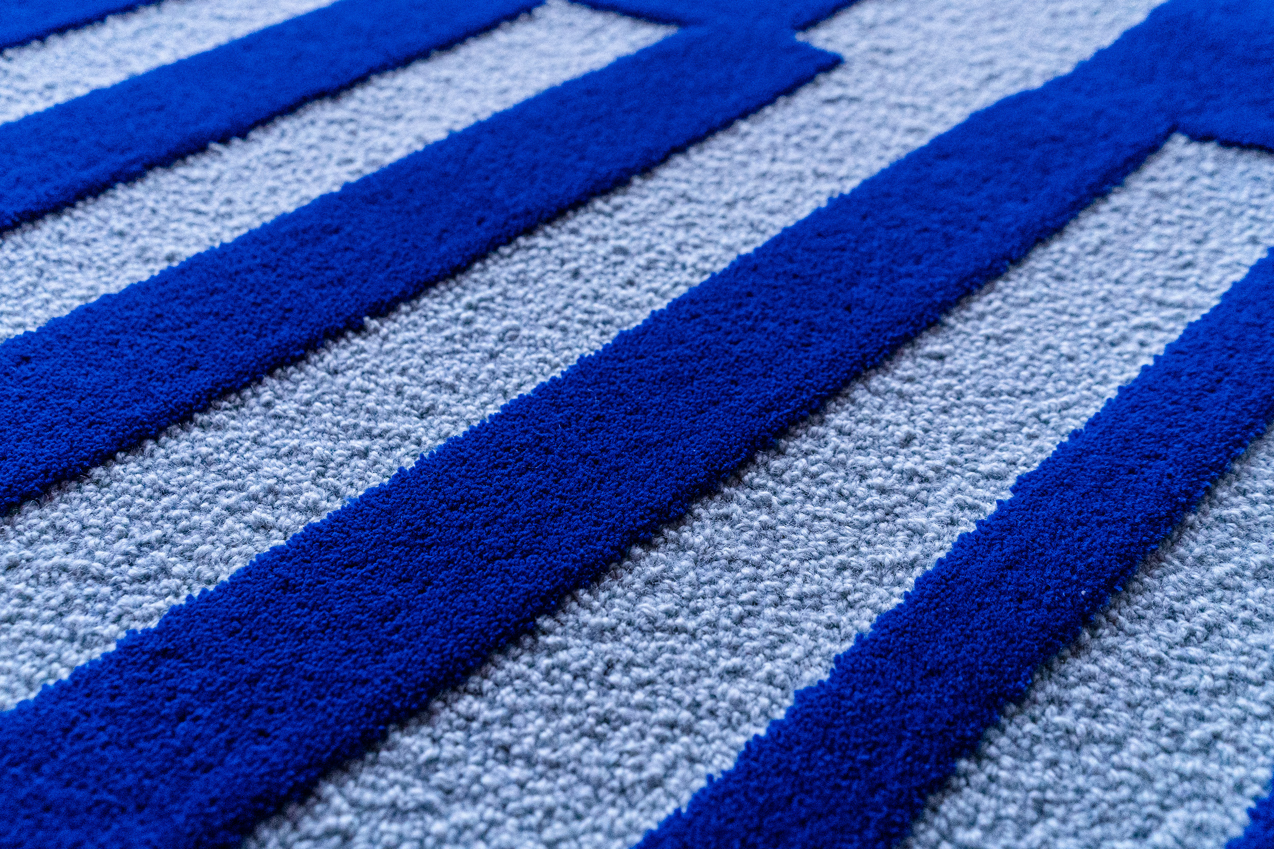 SLDB_Carpet_closeup_H-2