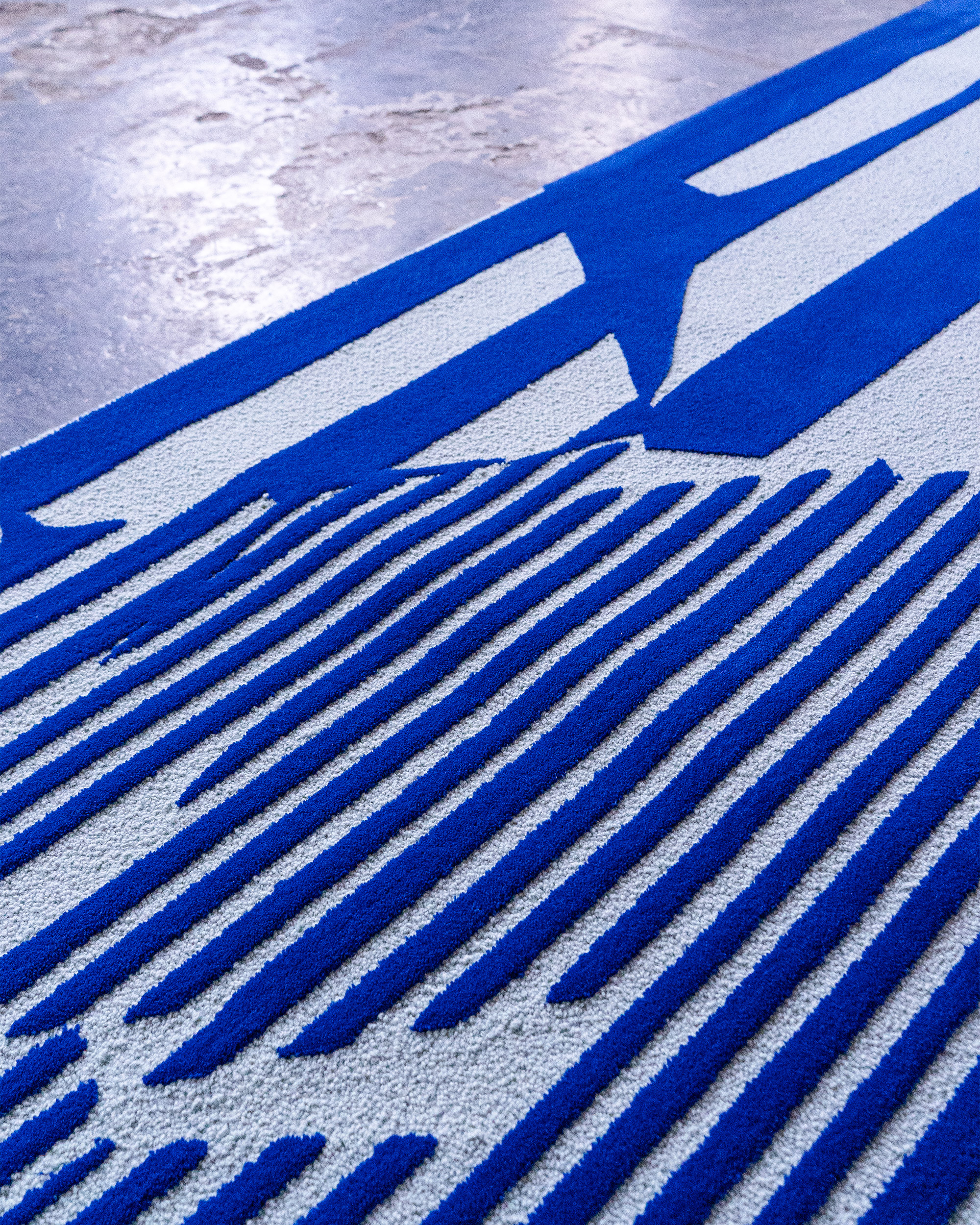 SLDB_Carpet_closeup_v-1